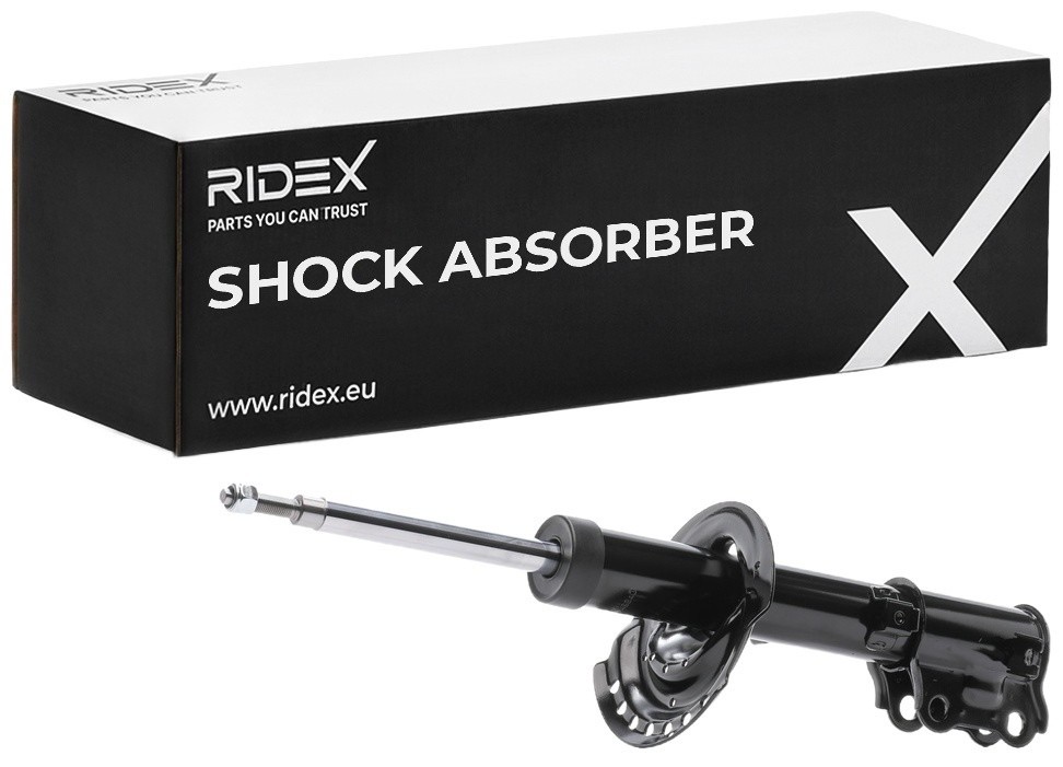 Ridex 854S17948 Shock Absorber