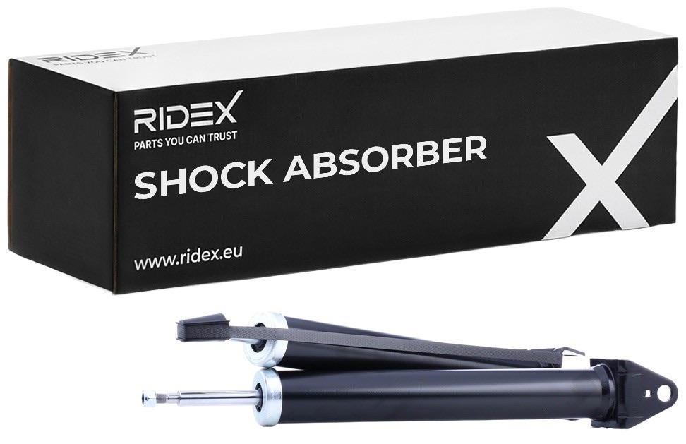 Ridex 854S17961 Shock Absorber