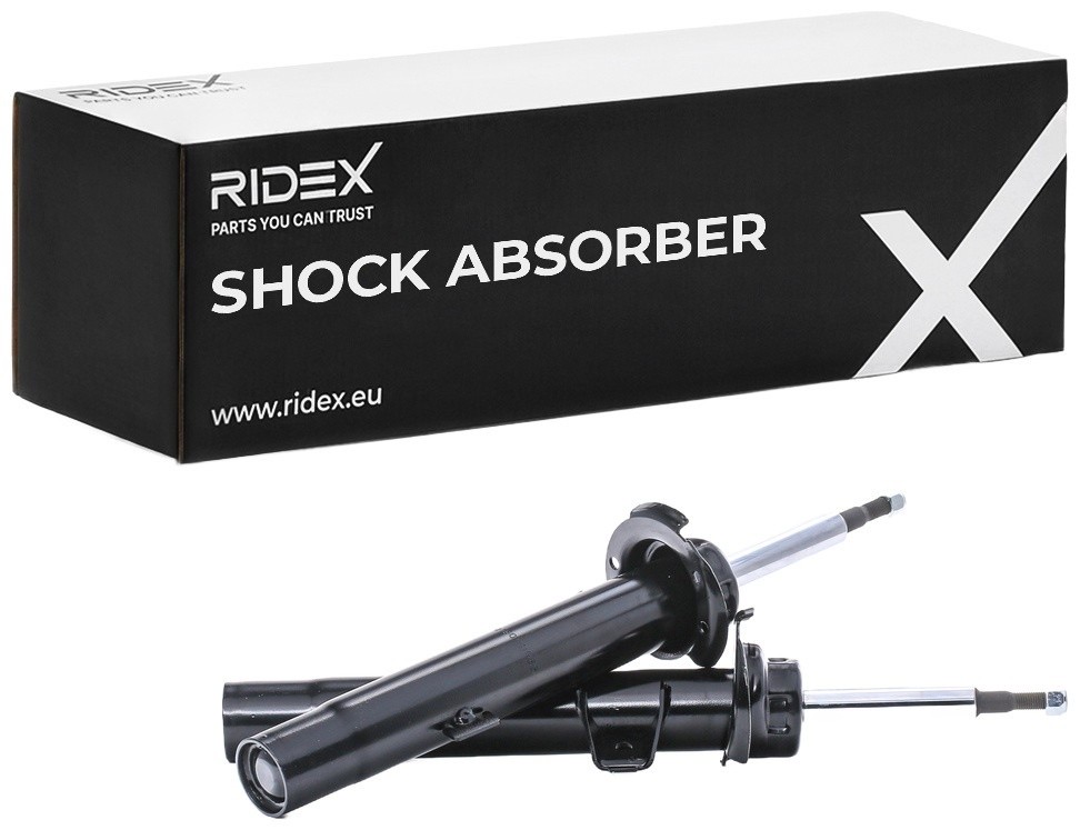 Ridex 854S18001 Shock Absorber