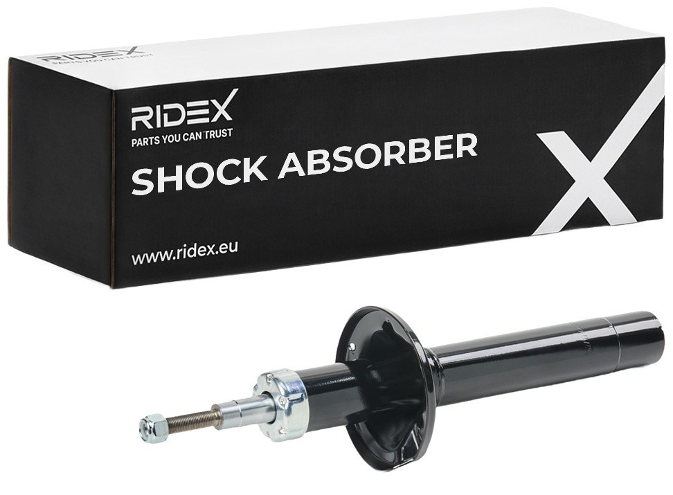 Ridex 854S18173 Shock Absorber