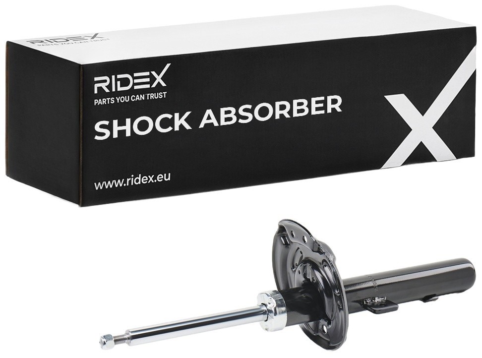 Ridex 854S18193 Shock Absorber
