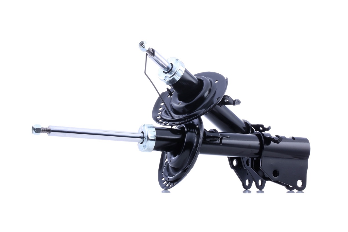 Ridex 854S18224 Shock Absorber