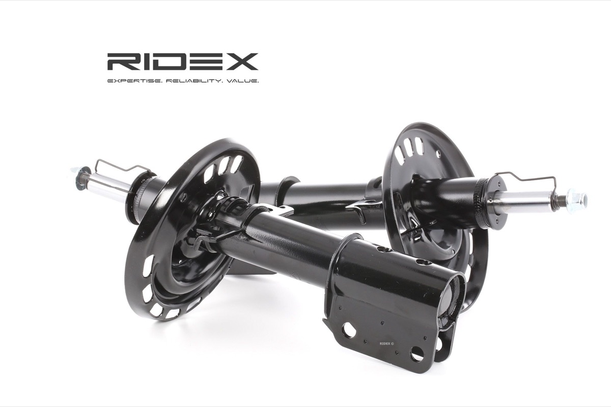 Ridex 854S1825 Shock Absorber