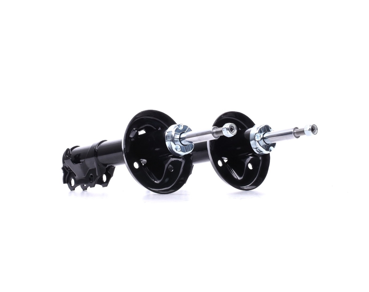 Ridex 854S18273 Shock Absorber