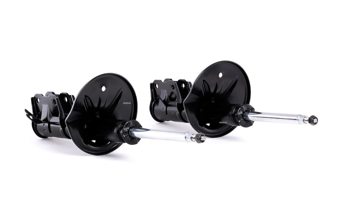 Ridex 854S1870 Shock Absorber