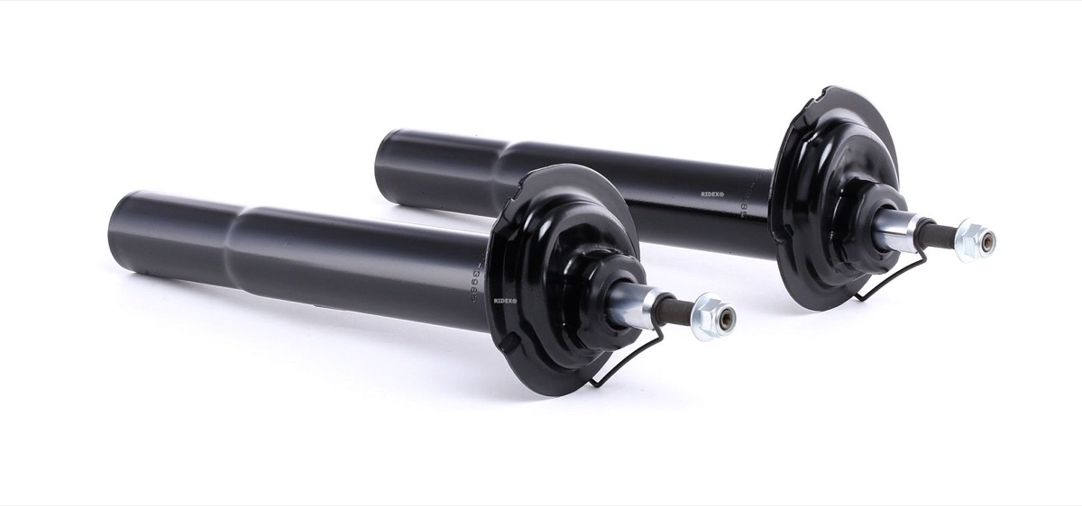 Ridex 854S1876 Shock Absorber