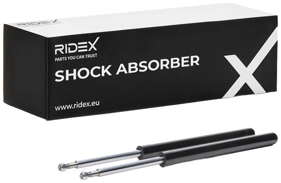 Ridex 854S19082 Shock Absorber