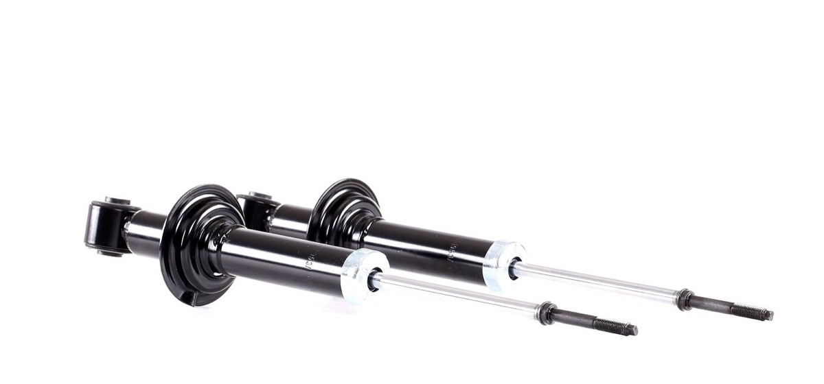 Ridex 854S1922 Shock Absorber
