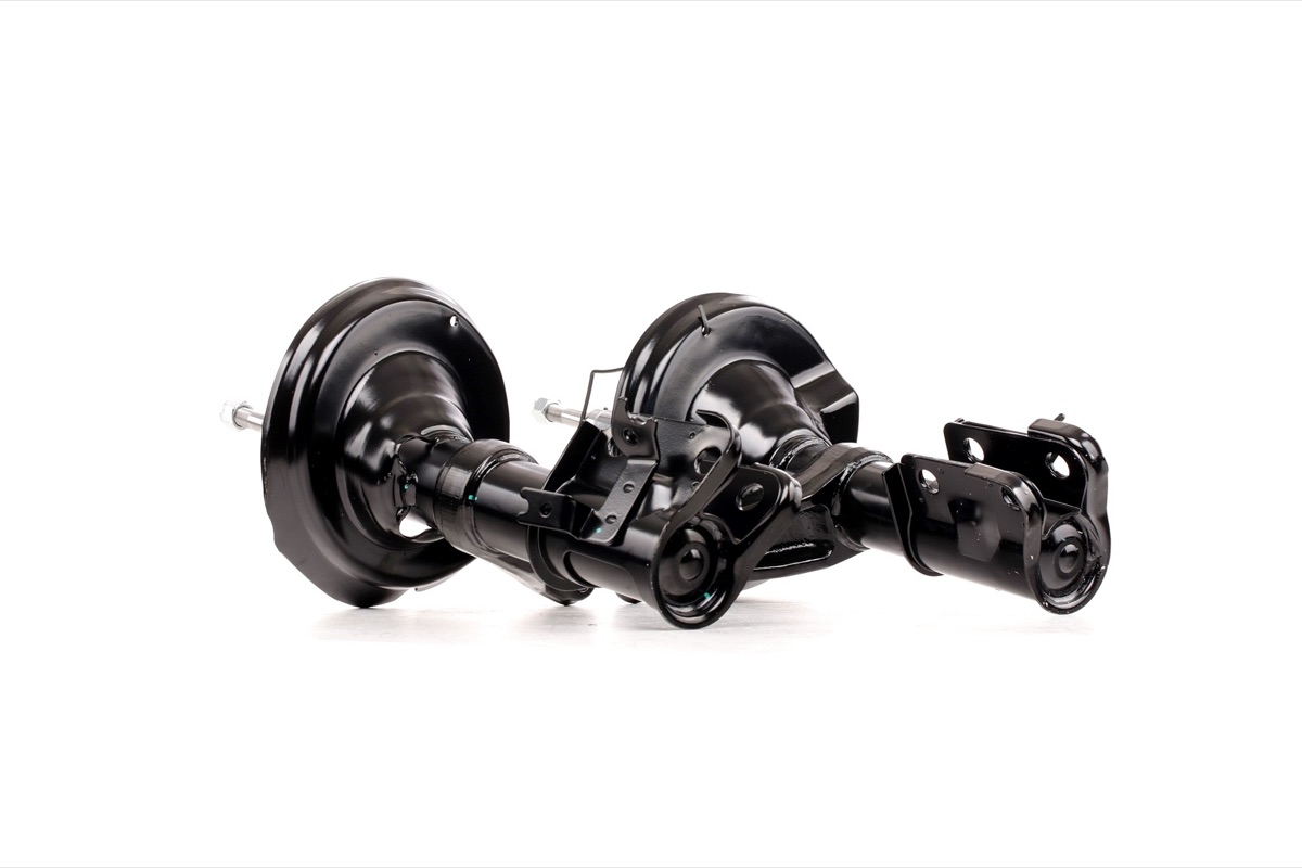 Ridex 854S1924 Shock Absorber