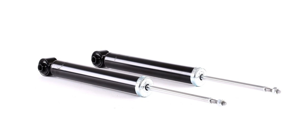 Ridex 854S1962 Shock Absorber