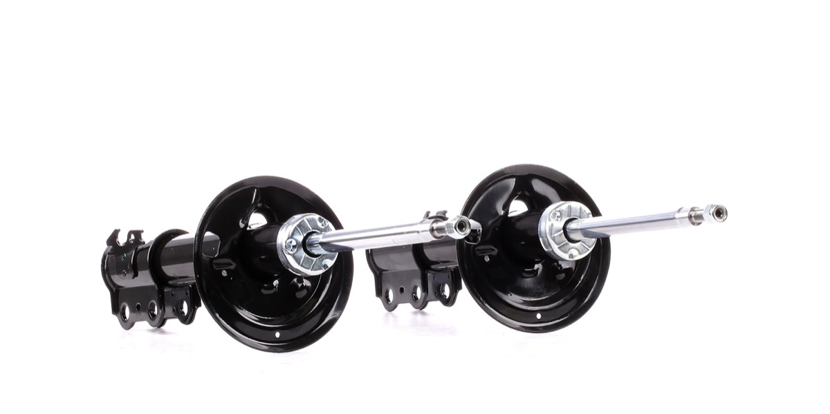 Ridex 854S1981 Shock Absorber