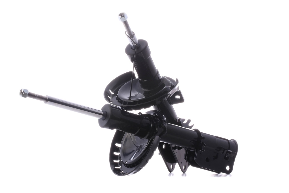 Ridex 854S2019 Shock Absorber