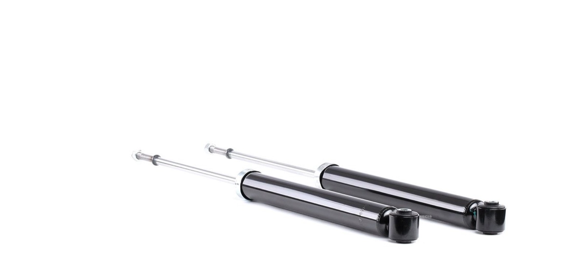 Ridex 854S2097 Shock Absorber