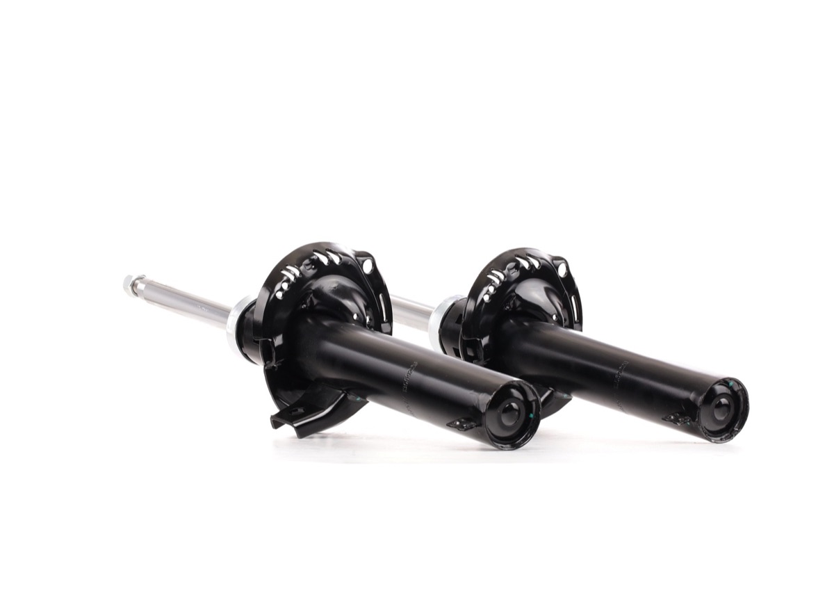 Ridex 854S2108 Shock Absorber