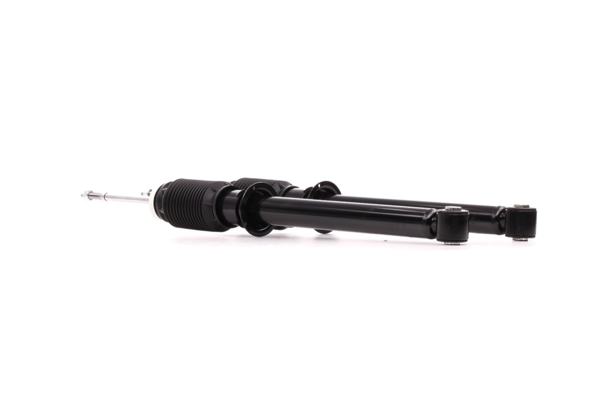 Ridex 854S2168 Shock Absorber
