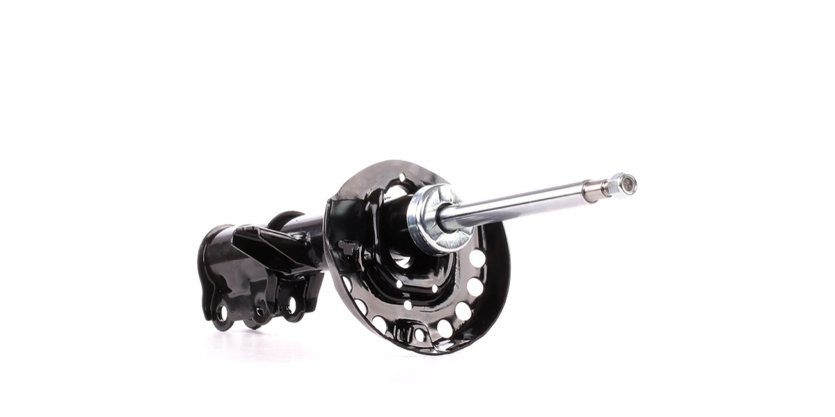 Ridex 854S2190 Shock Absorber