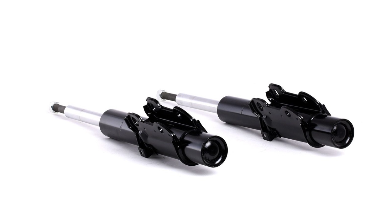Ridex 854S2198 Shock Absorber