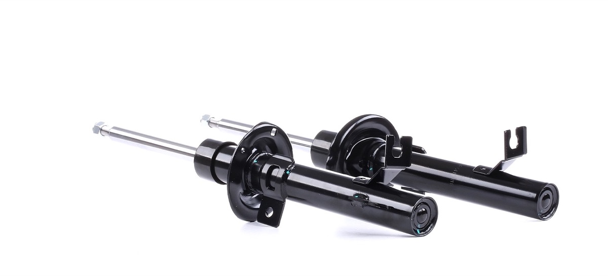 Ridex 854S2210 Shock Absorber