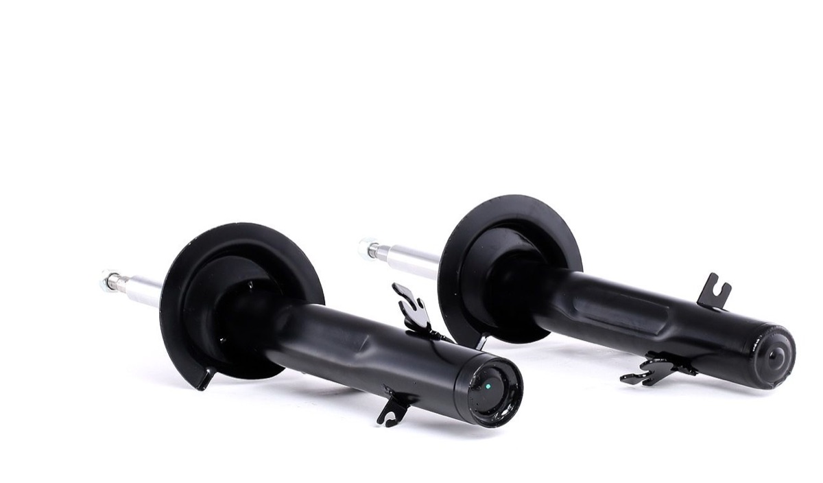 Ridex 854S2262 Shock Absorber
