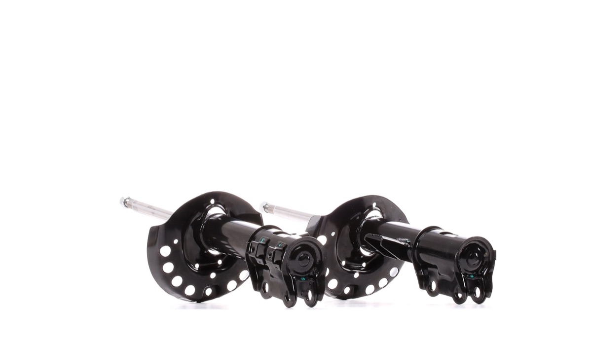 Ridex 854S2309 Shock Absorber