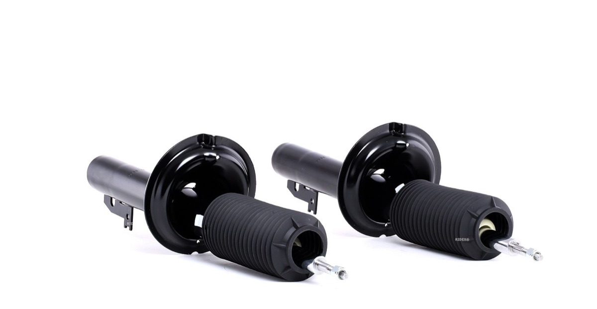Ridex 854S2324 Shock Absorber