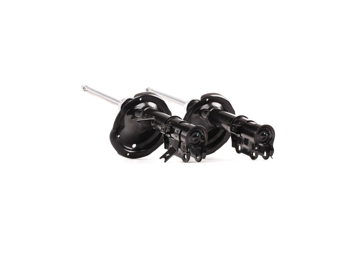 Ridex 854S2348 Shock Absorber
