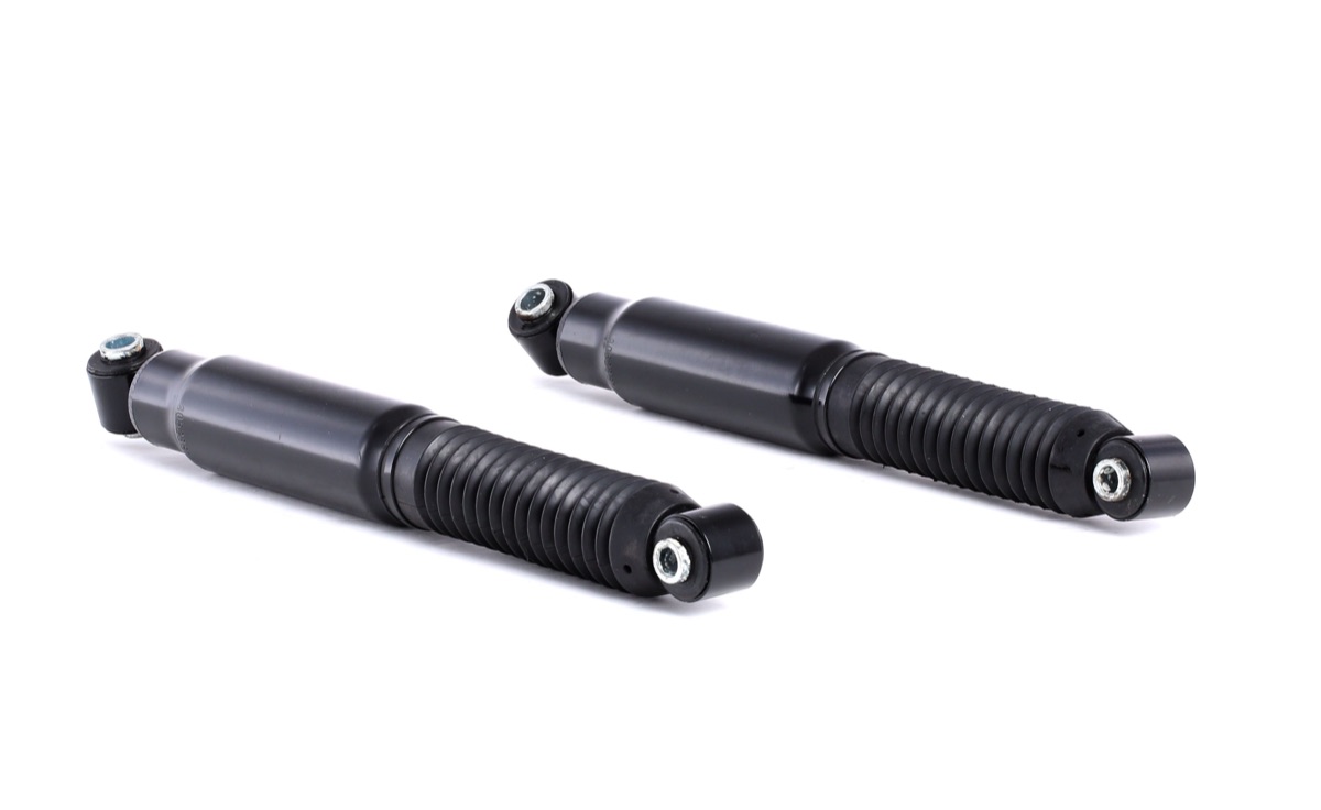 Ridex 854S2382 Shock Absorber