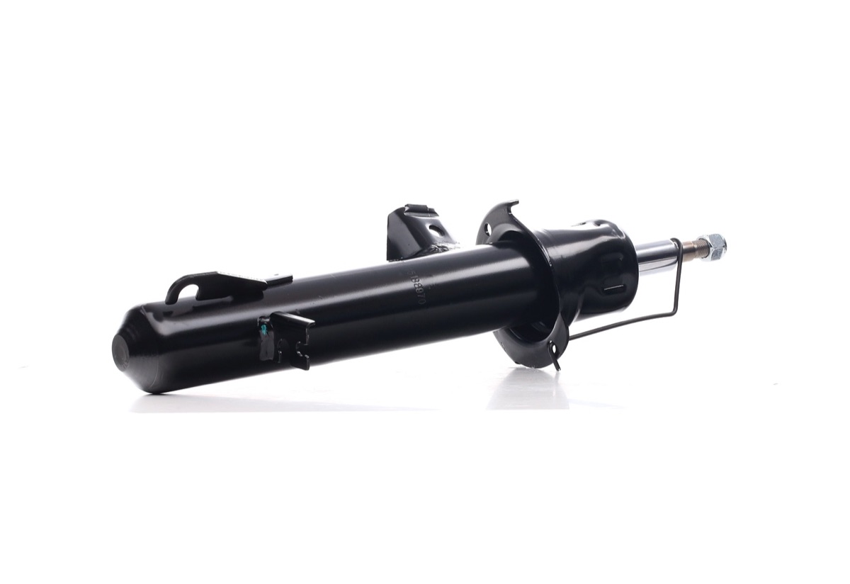 Ridex 854S2473 Shock Absorber