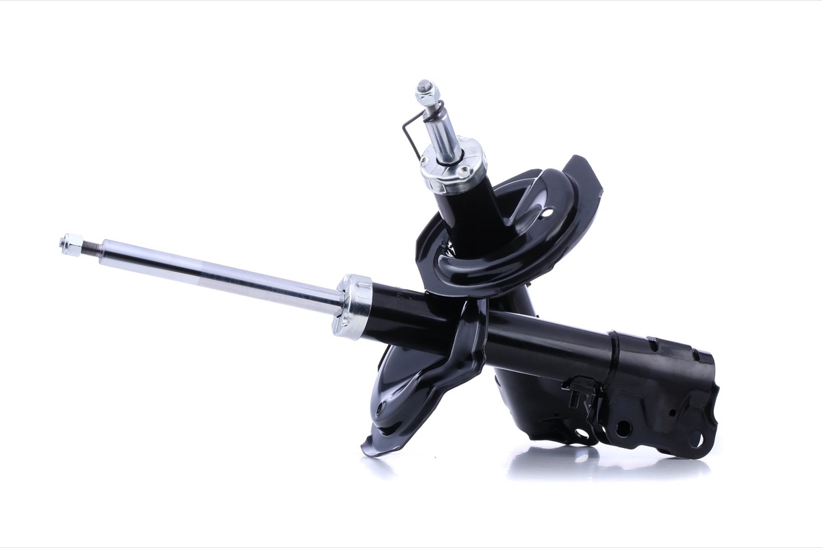Ridex 854S2679 Shock Absorber