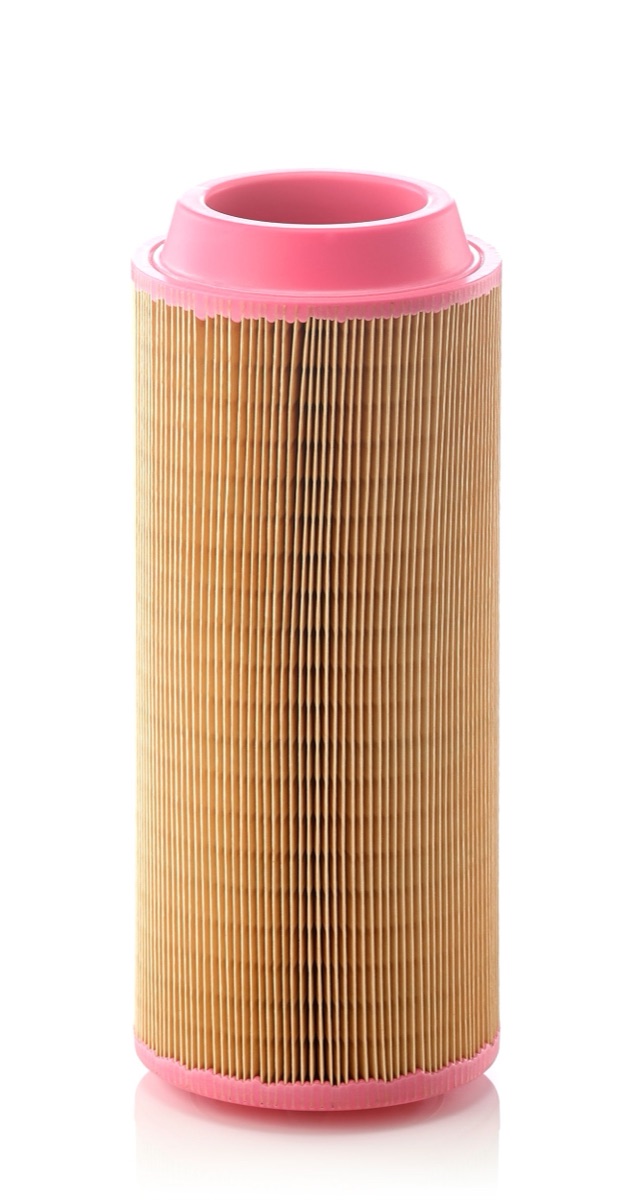 Mann-Filter EUROPICLON C 15 300 Air Filter
