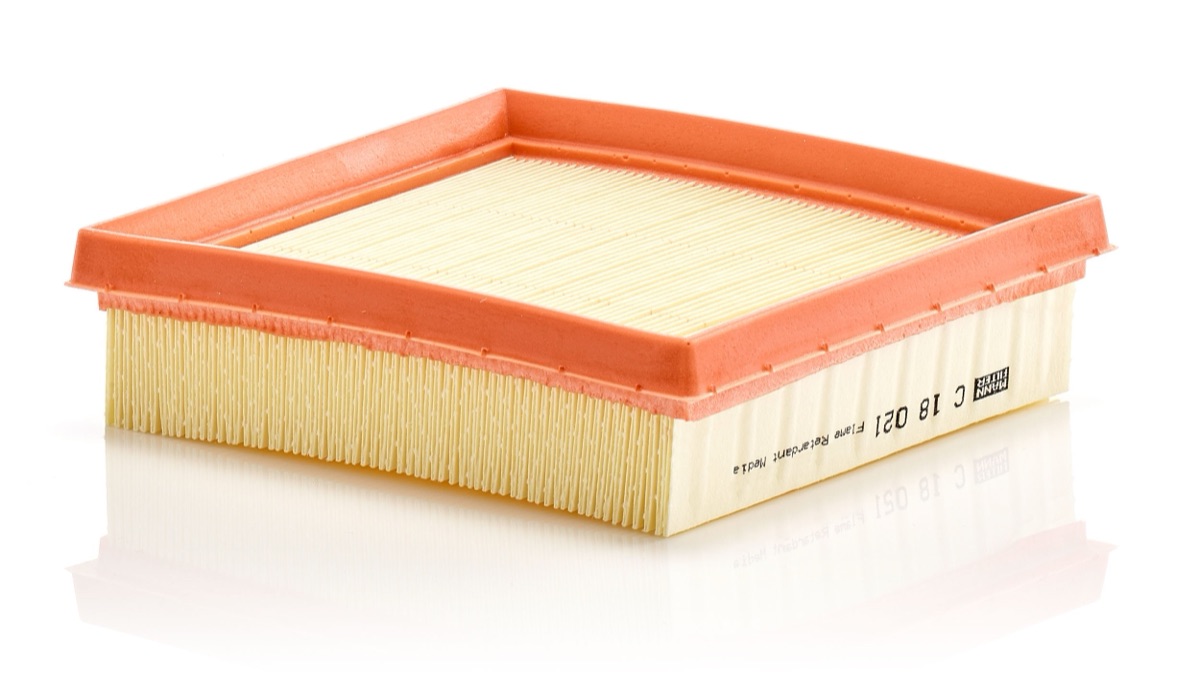 Mann-Filter C 18 021 Air Filter