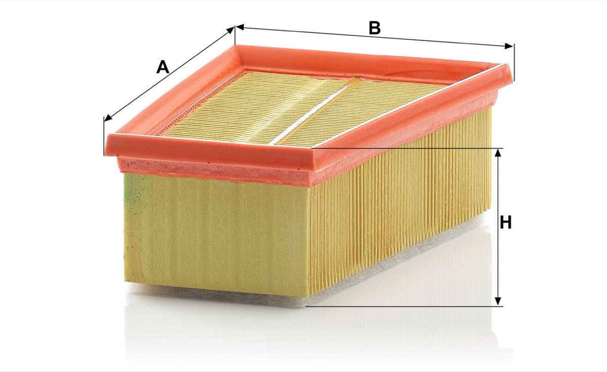 Mann-Filter C 1858/2 Air Filter