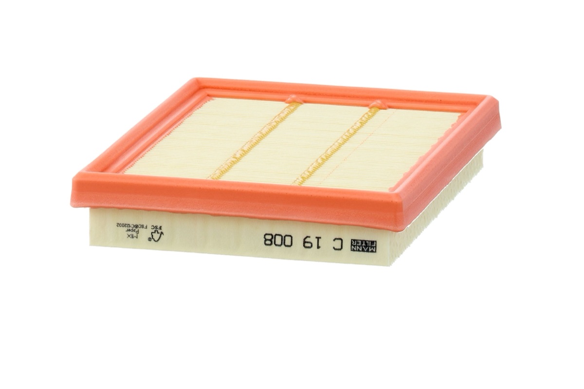 Mann-Filter C 19 008 Air Filter