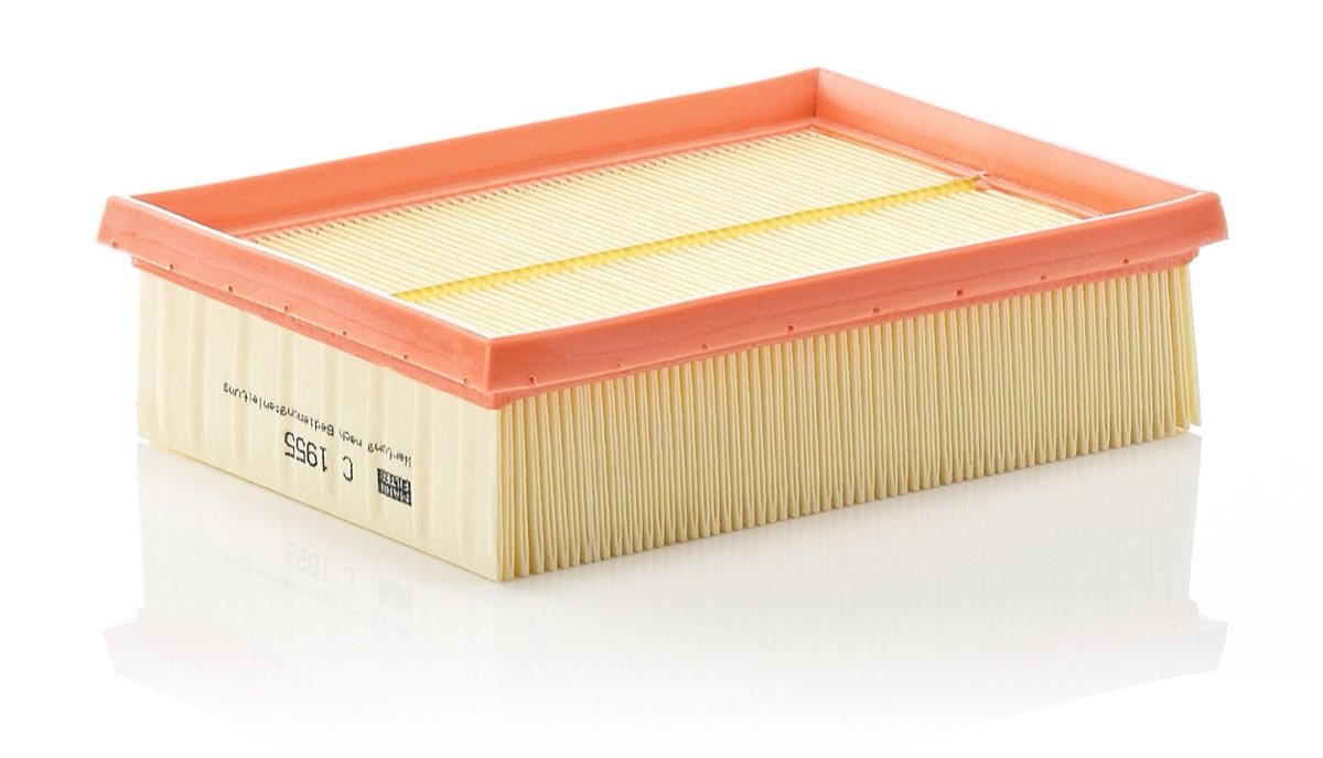 Mann-Filter C 1955-2 Air Filter