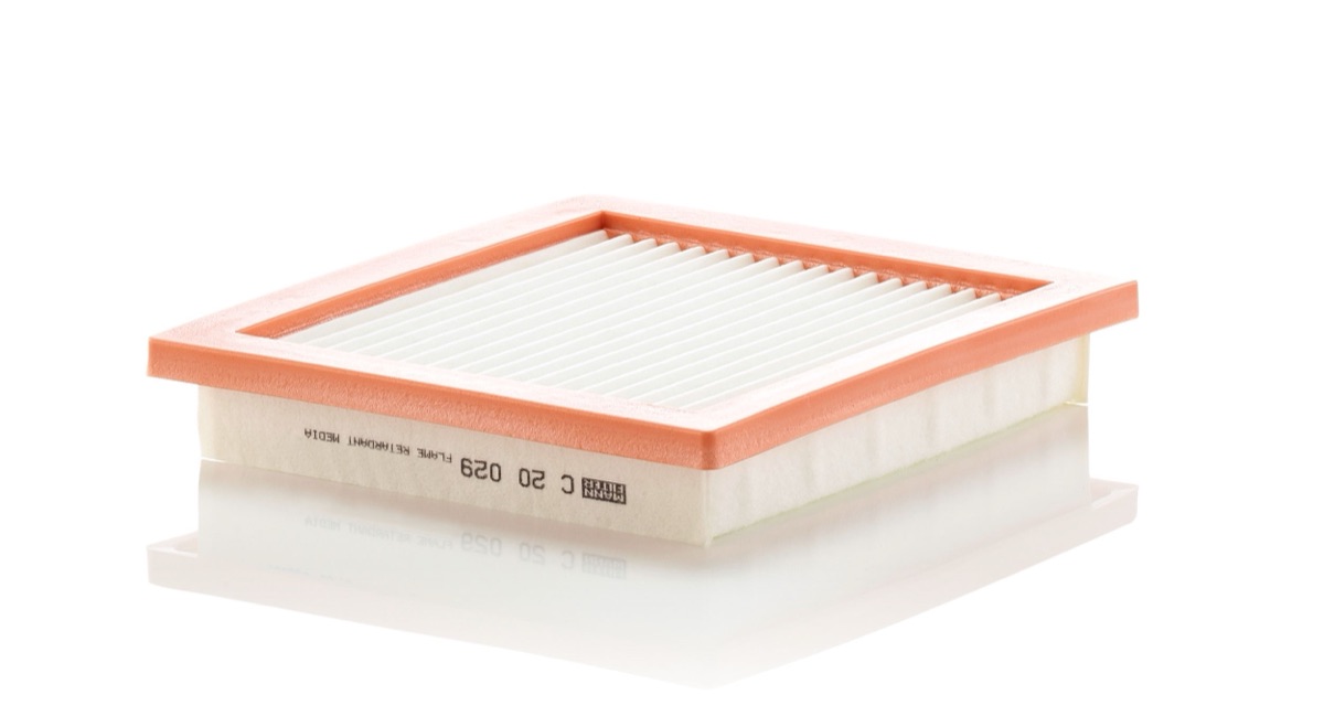 Mann-Filter C 20 029 Air Filter