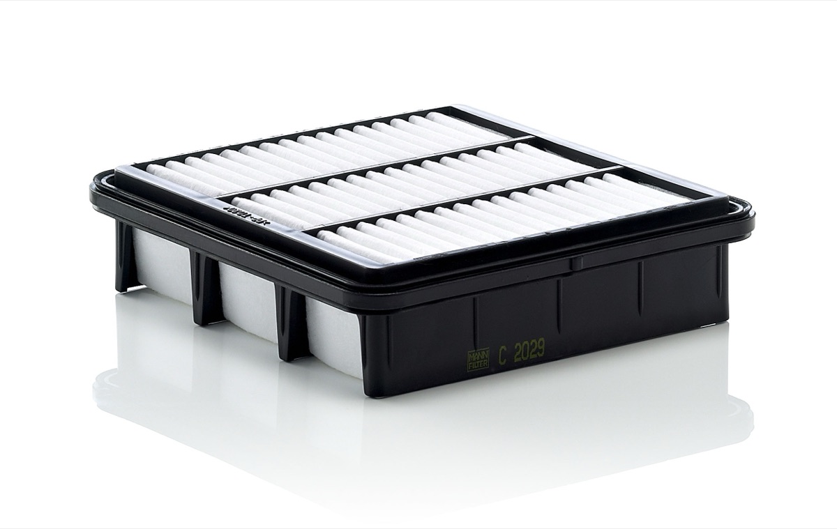 Mann-Filter C 2029 Air Filter
