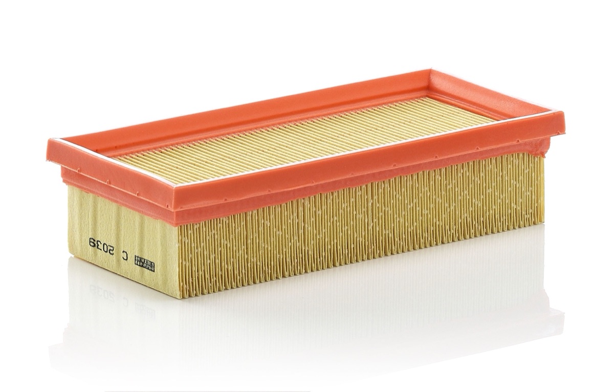 Mann-Filter C 2039 Air Filter