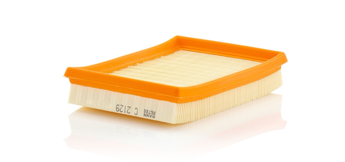 Mann-Filter C 2129 Air Filter