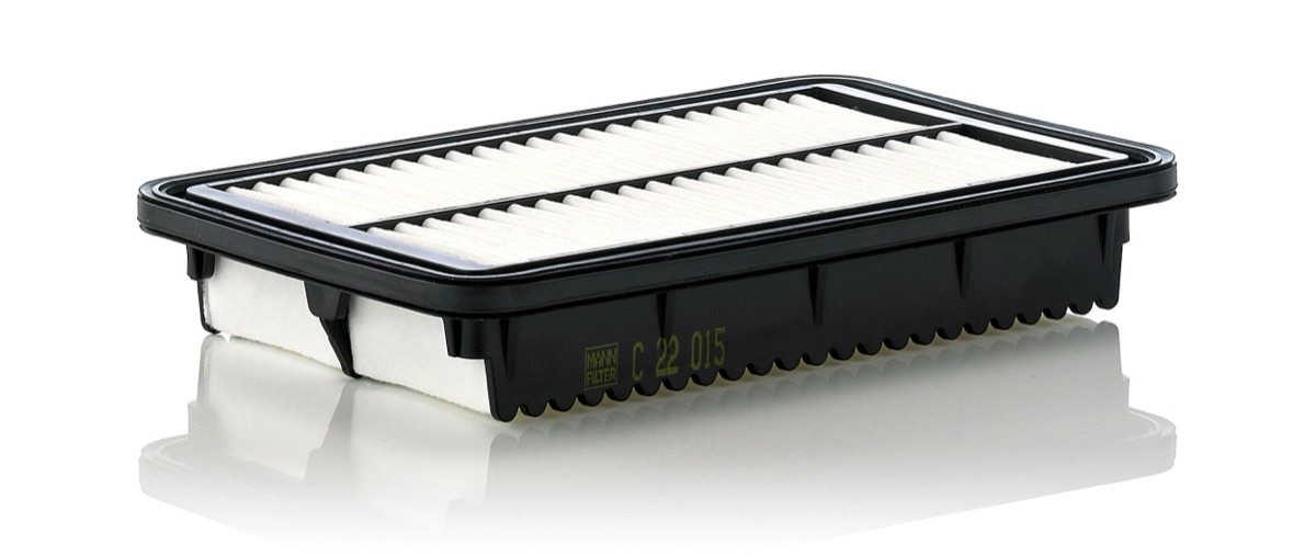 Mann-Filter C 22 015 Air Filter