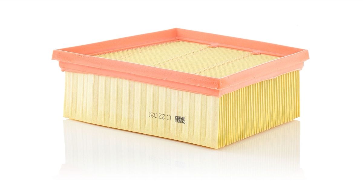 Mann-Filter C 22 031 Air Filter