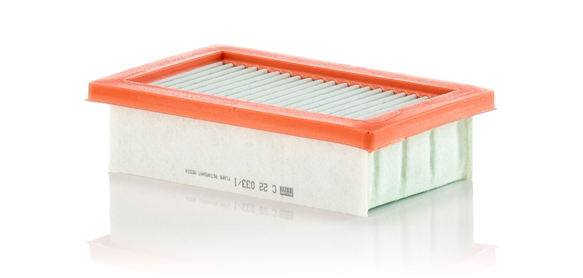 Mann-Filter C 22 033/1 Air Filter