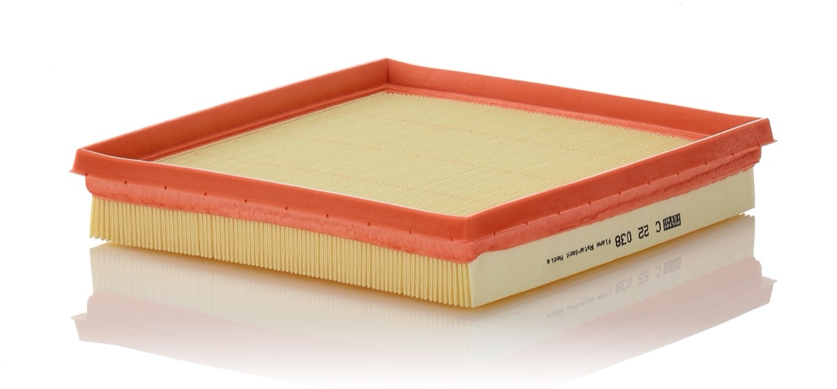 Mann-Filter C 22 038 Air Filter