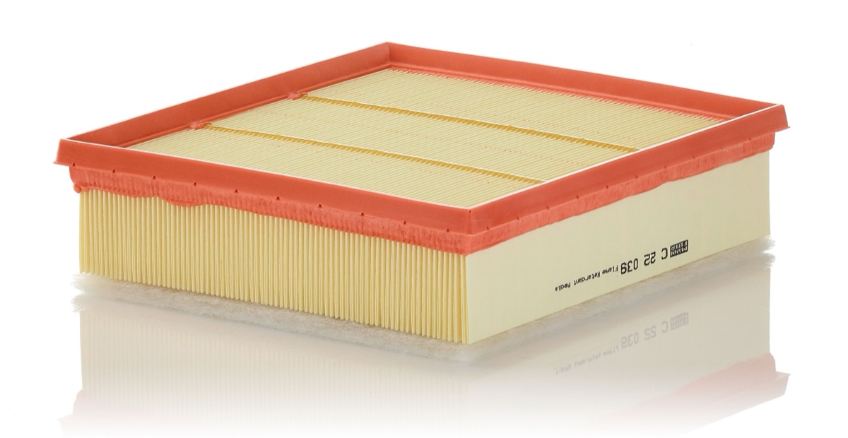 Mann-Filter C 22 039 Air Filter