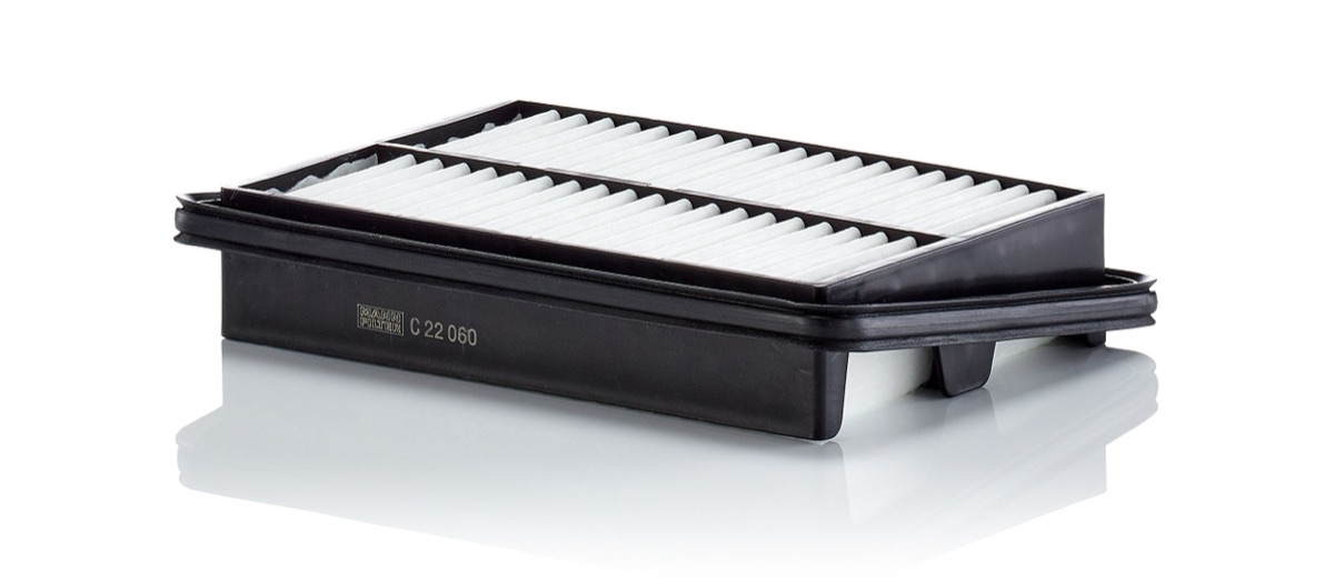 Mann-Filter C 22 060 Air Filter