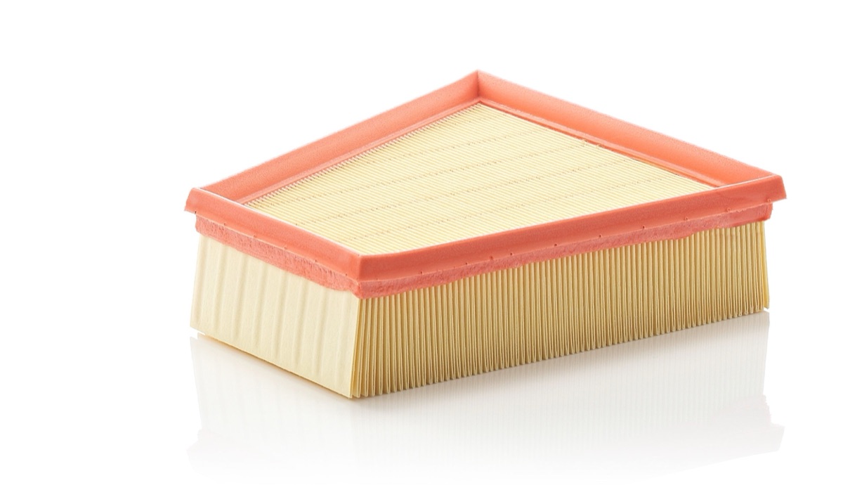 Mann-Filter C 2295/2 Air Filter