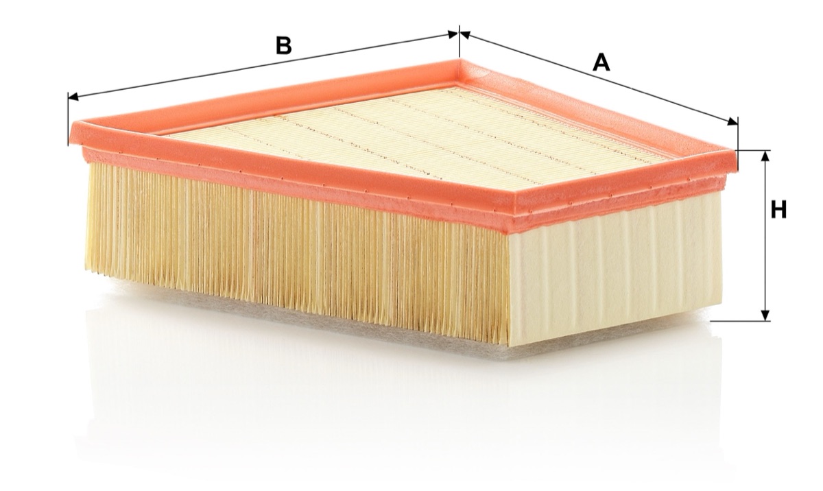 Mann-Filter C 2295/4 Air Filter