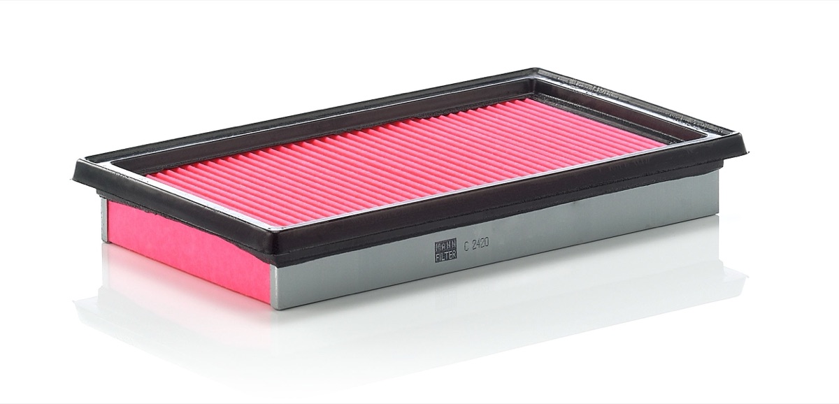 Mann-Filter C 2420 Air Filter