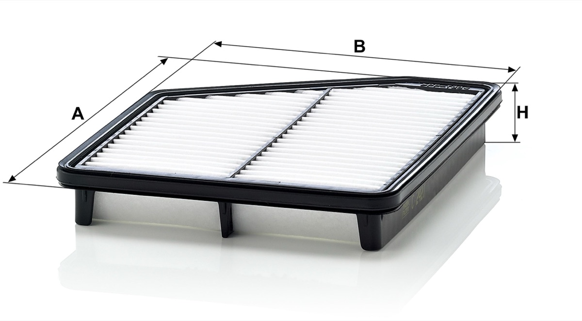 Mann-Filter C 2421 Air Filter