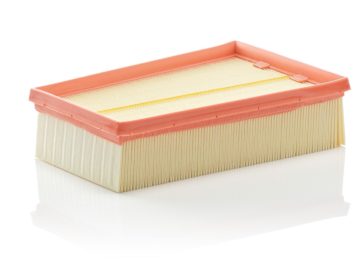 Mann-Filter C 2433/2 Air Filter