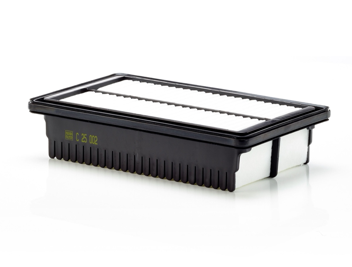 Mann-Filter C 25 002 Air Filter